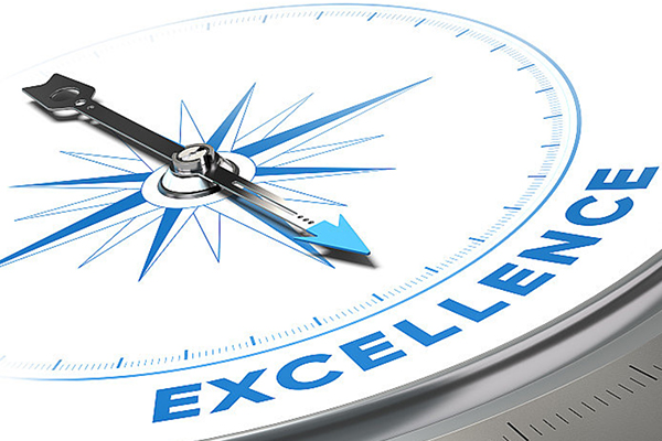 卓越绩效模式（省市区县政府质量奖）